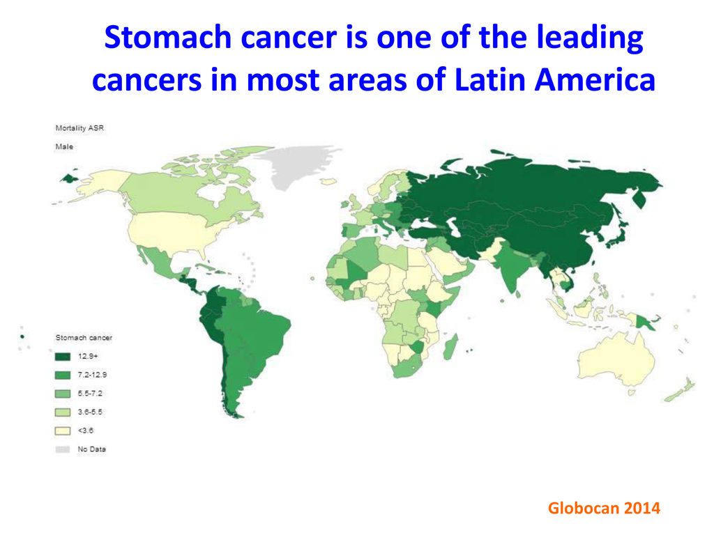 Stomach cancer is one of the leading cancers in most areas of Latin America