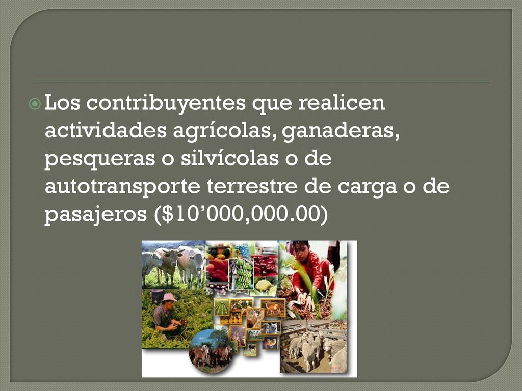 Los contribuyentes que realicen actividades agrícolas, ganaderas, pesqueras o silvícolas o de autotransporte terrestre de carga o de pasajeros ($10’000,000.00)