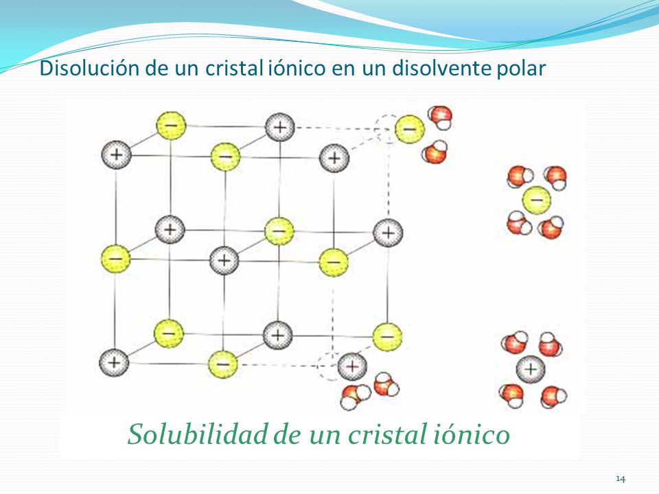 Disolución de un cristal iónico en un disolvente polar