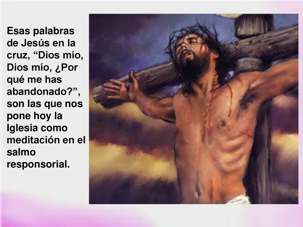 Esas palabras de Jesús en la cruz, Dios mío, Dios mío, ¿Por qué me has abandonado , son las que nos pone hoy la Iglesia como meditación en el salmo responsorial.