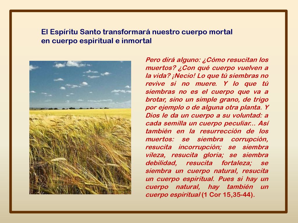 El Espíritu Santo transformará nuestro cuerpo mortal en cuerpo espiritual e inmortal