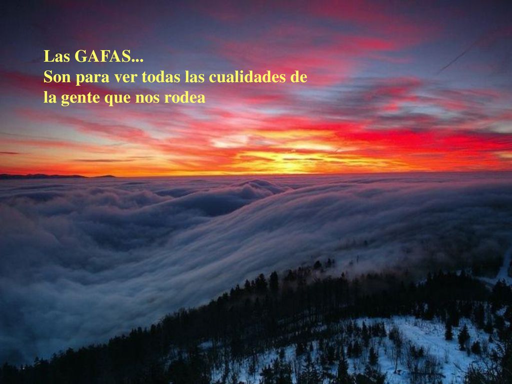 Las GAFAS... Son para ver todas las cualidades de la gente que nos rodea