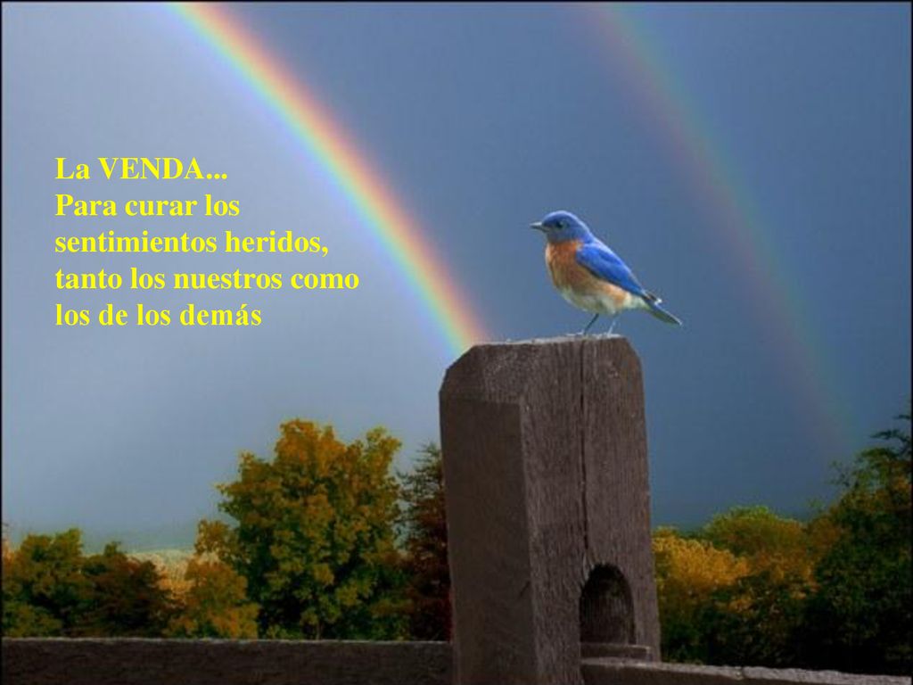 La VENDA... Para curar los sentimientos heridos, tanto los nuestros como los de los demás