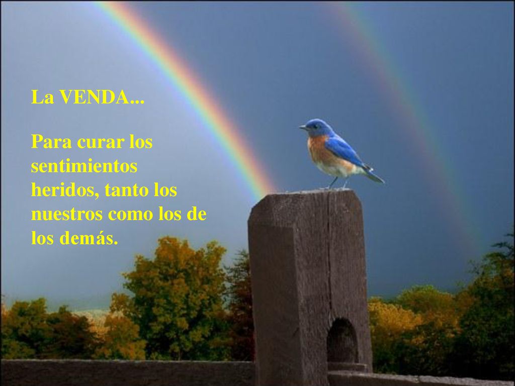 La VENDA... Para curar los sentimientos heridos, tanto los nuestros como los de los demás.