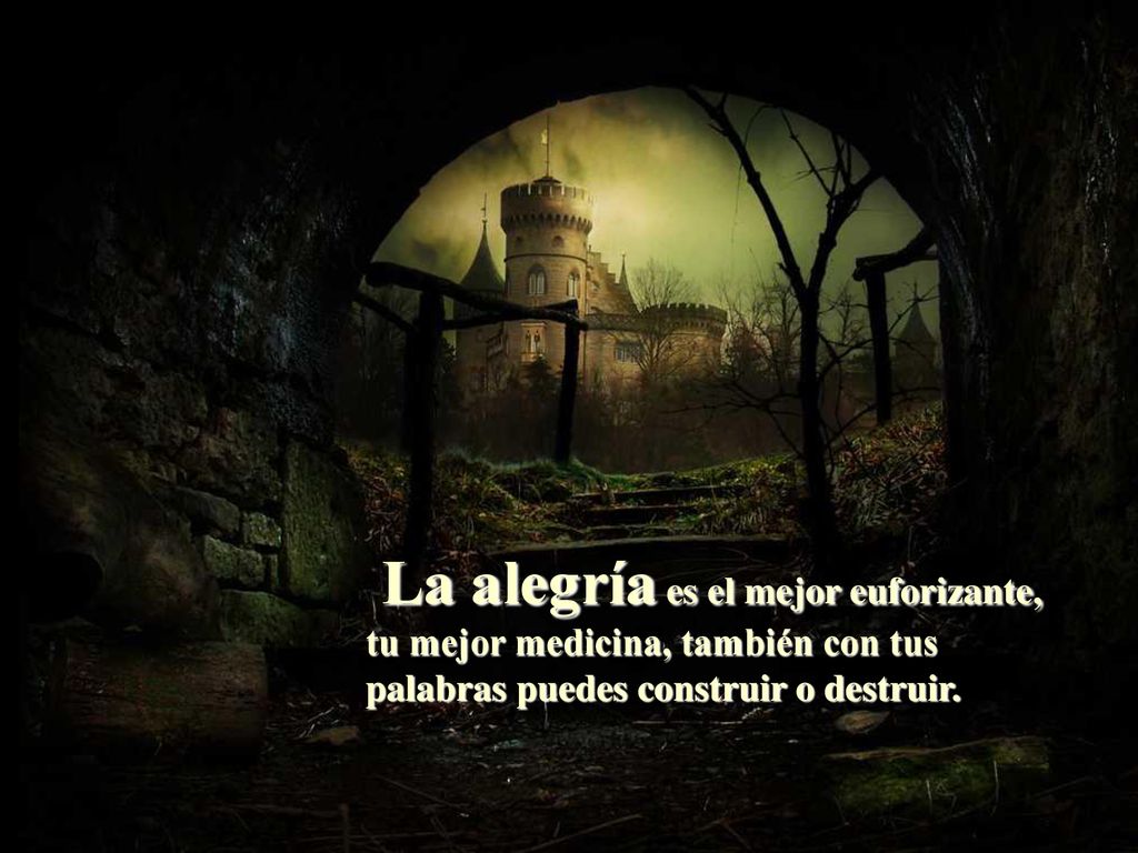 La alegría es el mejor euforizante, tu mejor medicina, también con tus palabras puedes construir o destruir.