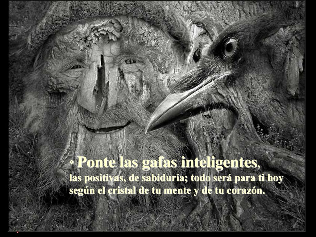 * Ponte las gafas inteligentes, las positivas, de sabiduría; todo será para ti hoy según el cristal de tu mente y de tu corazón.
