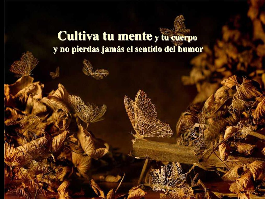 Cultiva tu mente y tu cuerpo y no pierdas jamás el sentido del humor