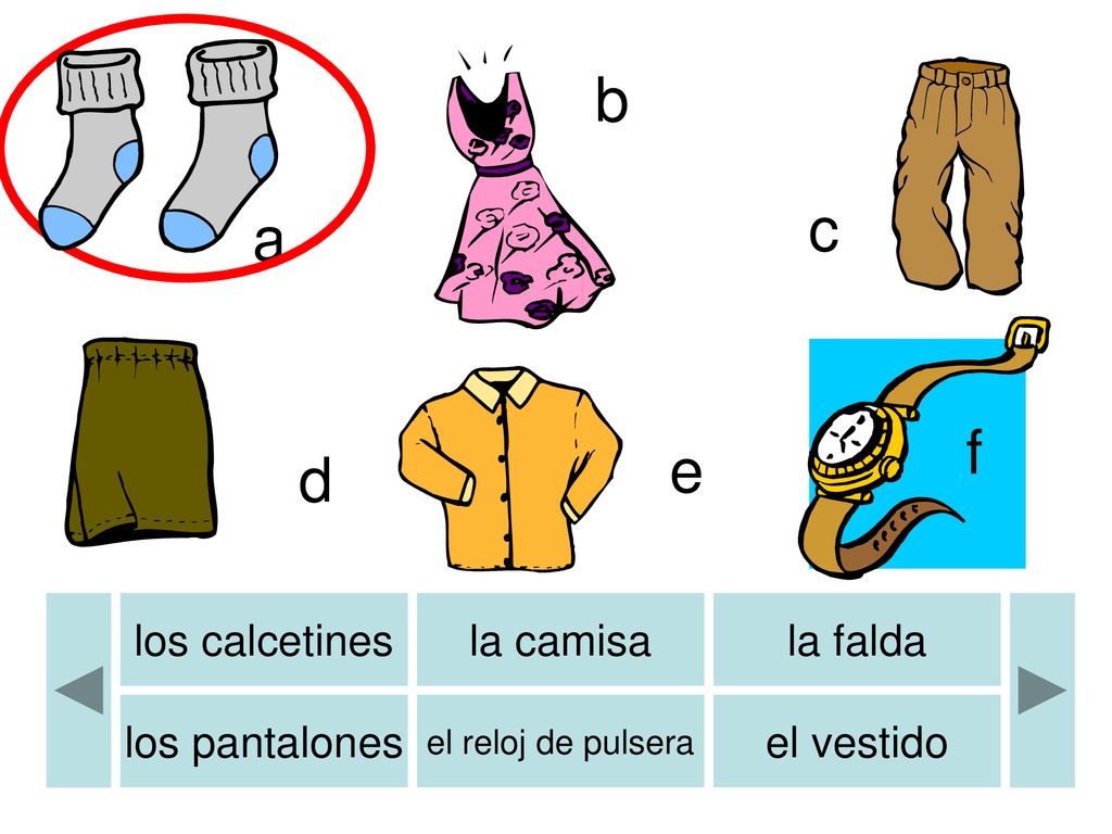 b b c a f e d los calcetines la camisa la falda los pantalones