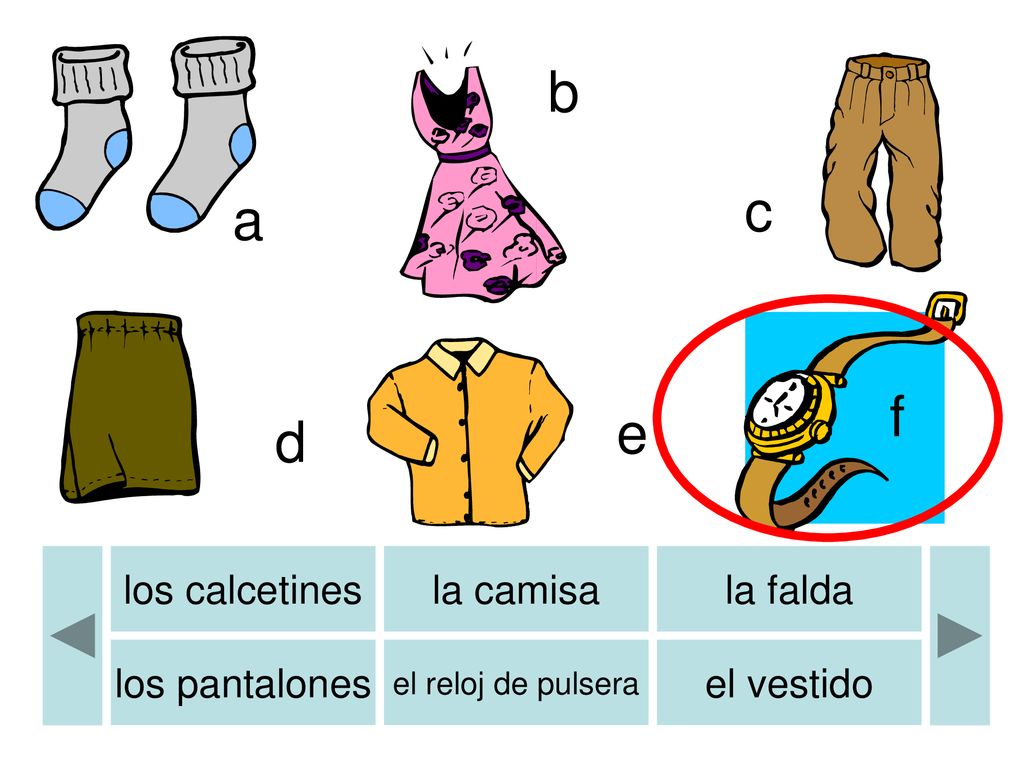 b b c a f e d los calcetines la camisa la falda los pantalones