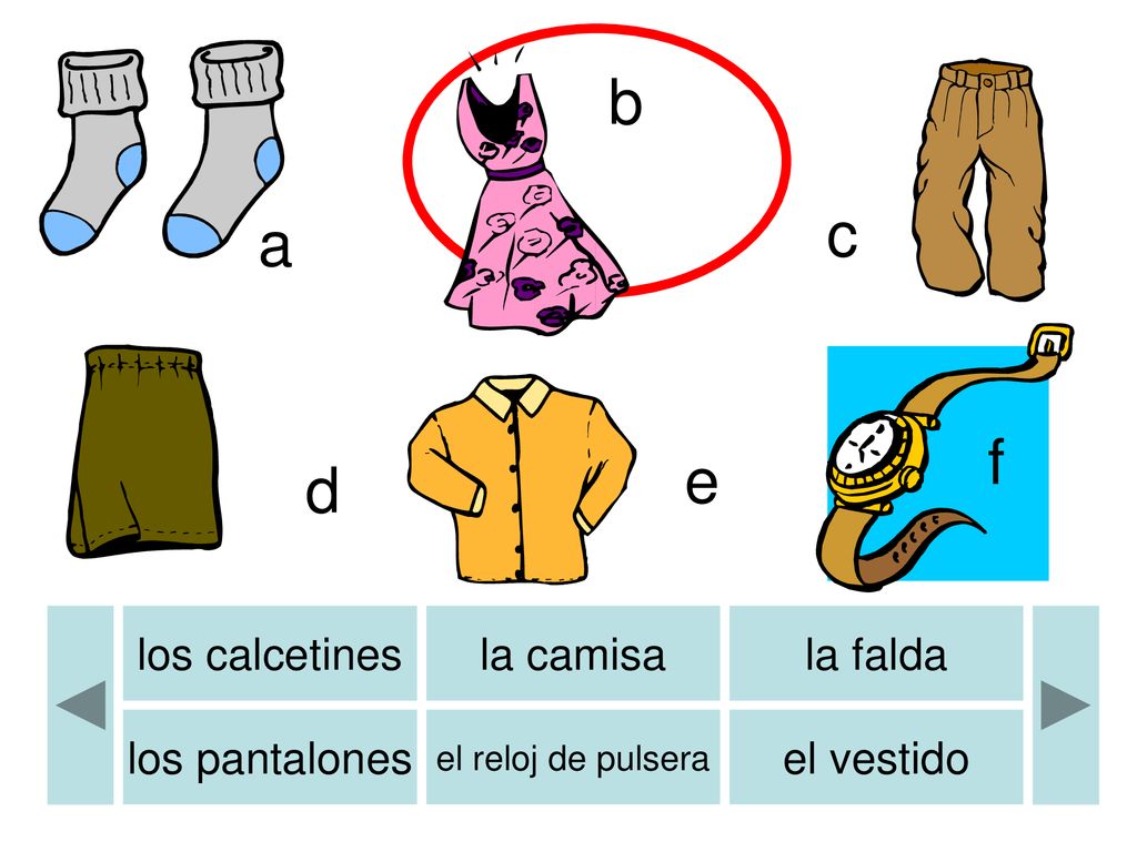 b b c a f e d los calcetines la camisa la falda los pantalones