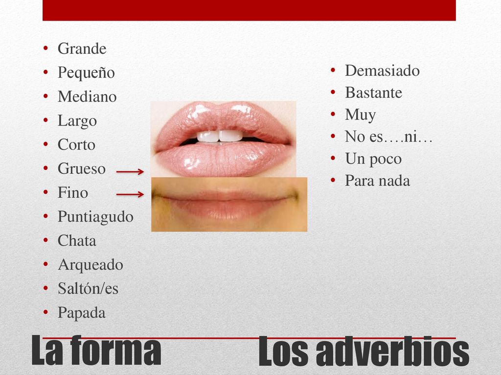 La forma Los adverbios Grande Pequeño Mediano Demasiado Bastante Largo