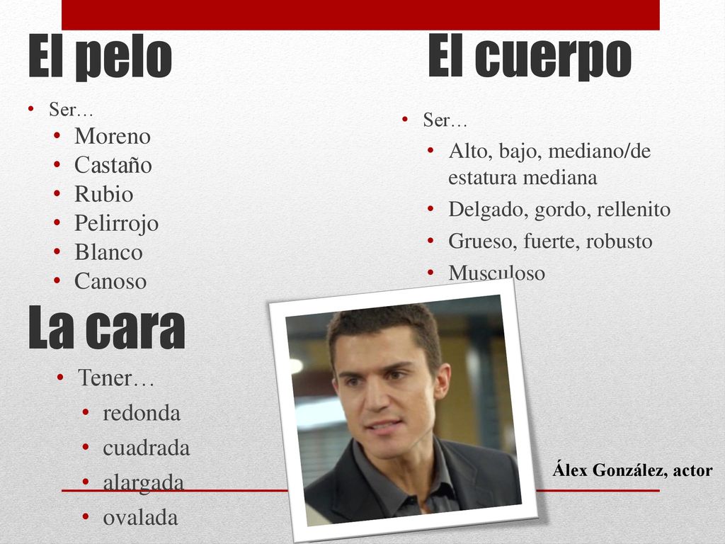 El pelo El cuerpo La cara Moreno Castaño Rubio Pelirrojo Blanco Canoso