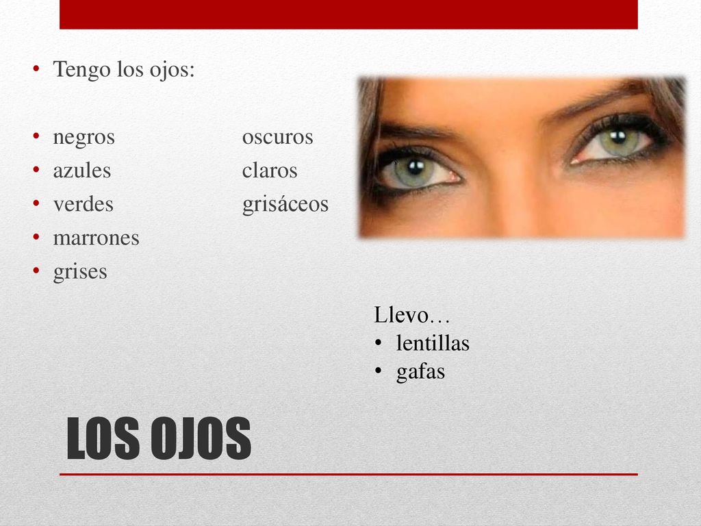 LOS OJOS Tengo los ojos: negros oscuros azules claros verdes grisáceos