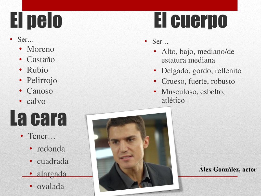 El pelo El cuerpo La cara Moreno Castaño Rubio Pelirrojo Canoso calvo