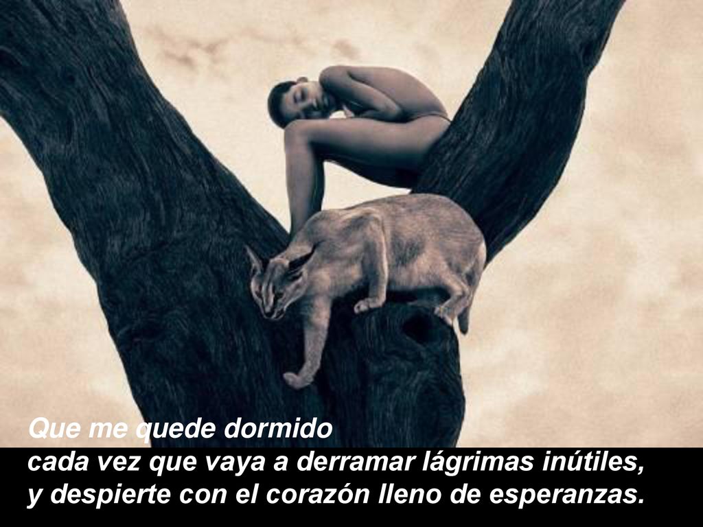 Que me quede dormido cada vez que vaya a derramar lágrimas inútiles, y despierte con el corazón lleno de esperanzas.
