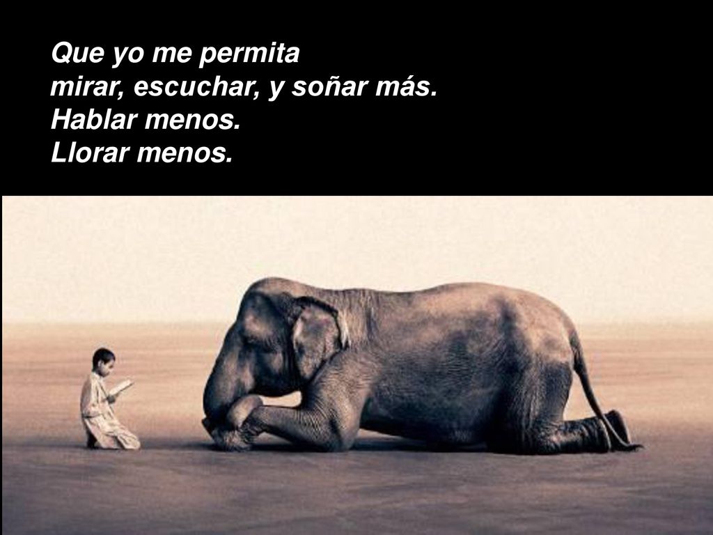 Que yo me permita mirar, escuchar, y soñar más. Hablar menos. Llorar menos.