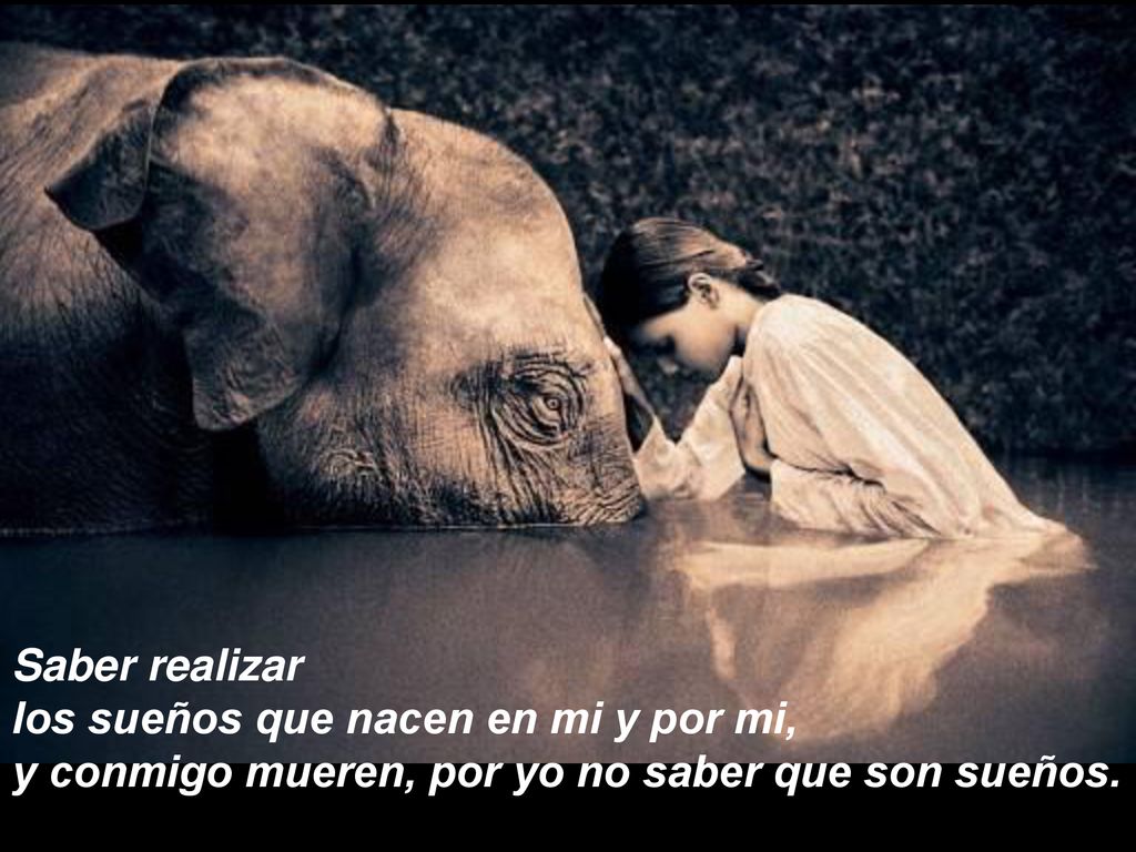 Saber realizar los sueños que nacen en mi y por mi, y conmigo mueren, por yo no saber que son sueños.