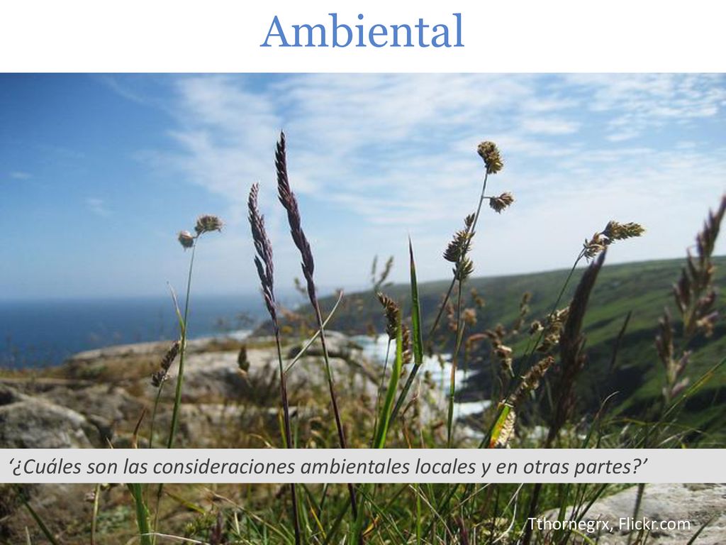Ambiental (1 minuto) • Finalmente, ambiental: ¿cuáles son las consideraciones ambientales, locales y en otras partes
