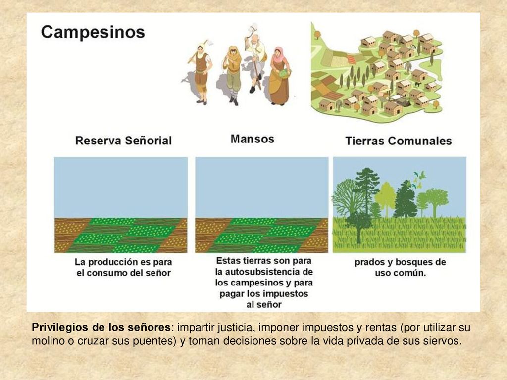 Privilegios de los señores: impartir justicia, imponer impuestos y rentas (por utilizar su molino o cruzar sus puentes) y toman decisiones sobre la vida privada de sus siervos.
