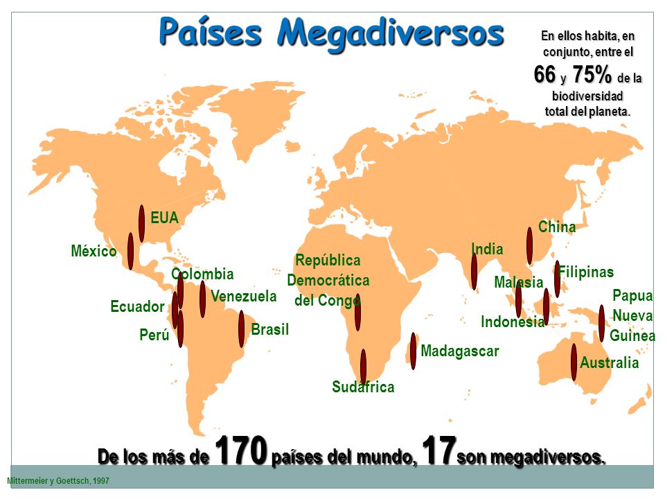En ellos habita, en conjunto, entre el 66 y 75% de la biodiversidad