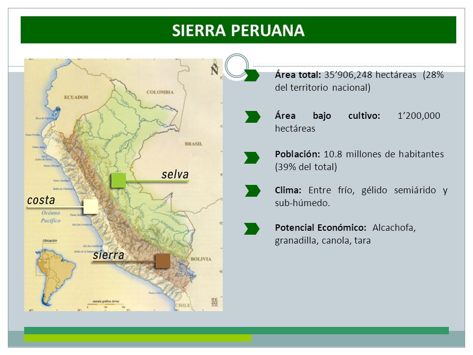 SIERRA PERUANA Área total: 35’906,248 hectáreas (28% del territorio nacional) Área bajo cultivo: 1’200,000 hectáreas.