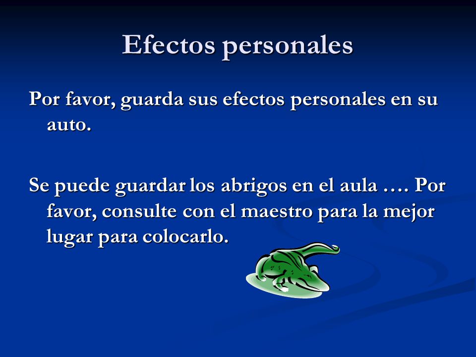 Efectos personales Por favor, guarda sus efectos personales en su auto.