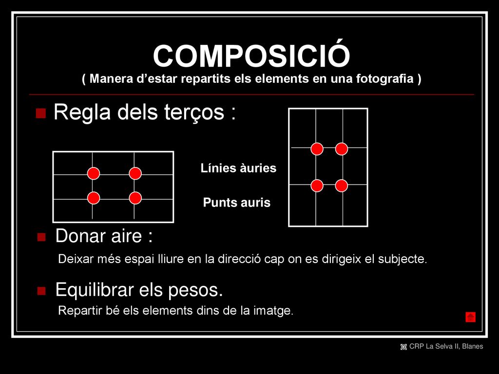 COMPOSICIÓ ( Manera d’estar repartits els elements en una fotografia )