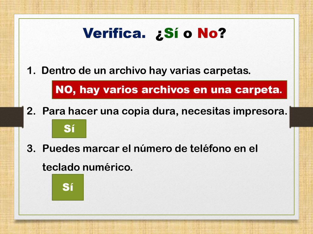 Verifica. ¿Sí o No 1. Dentro de un archivo hay varias carpetas.
