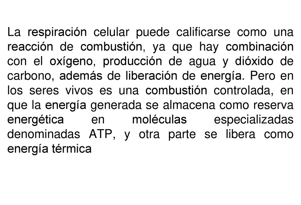 La respiración celular puede calificarse como una reacción de combustión, ya que hay combinación con el oxígeno, producción de agua y dióxido de carbono, además de liberación de energía.