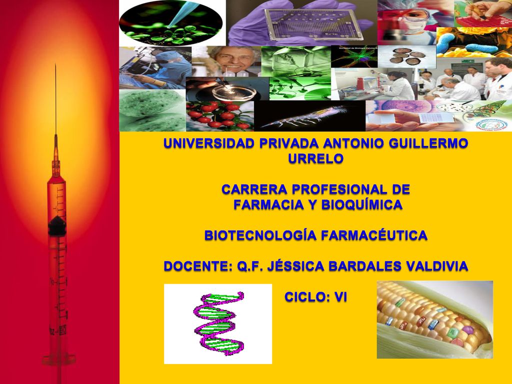 UNIVERSIDAD PRIVADA ANTONIO GUILLERMO URRELO CARRERA PROFESIONAL DE FARMACIA Y BIOQUÍMICA BIOTECNOLOGÍA FARMACÉUTICA DOCENTE: Q.F.