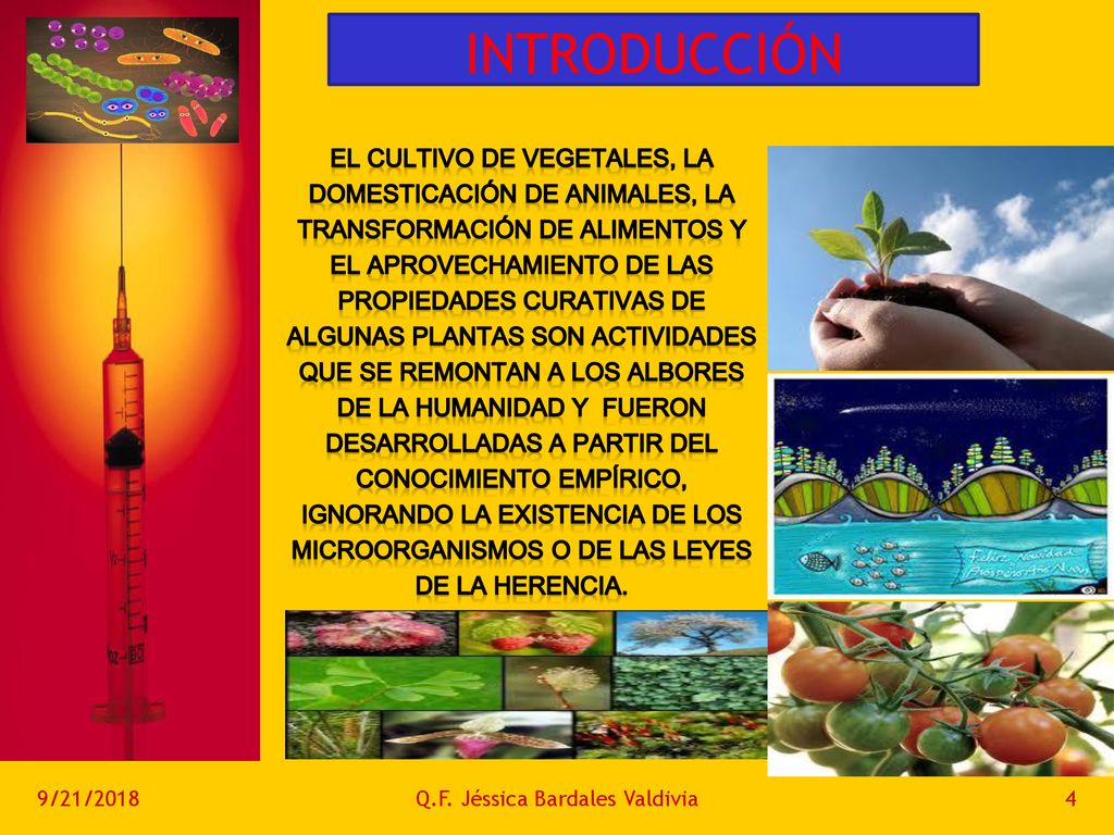 INTRODUCCIÓN El cultivo de vegetales, la domesticación de animales, la