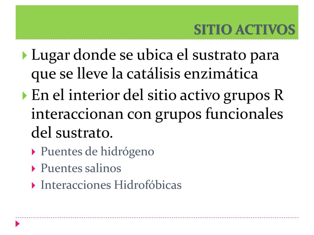 SITIO ACTIVOS Lugar donde se ubica el sustrato para que se lleve la catálisis enzimática.
