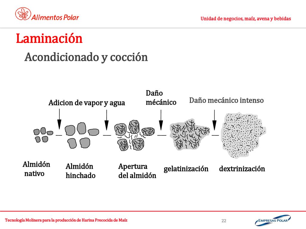 Tecnología Molinera para la producción de Harina Precocida de Maíz