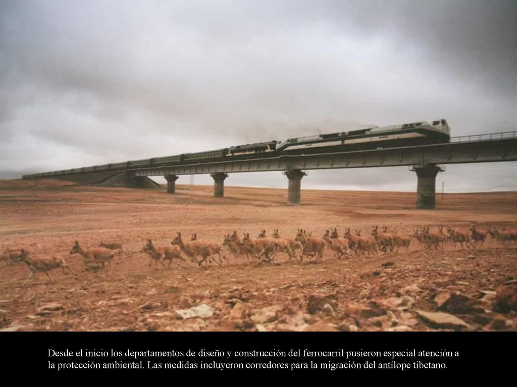 Desde el inicio los departamentos de diseño y construcción del ferrocarril pusieron especial atención a la protección ambiental.