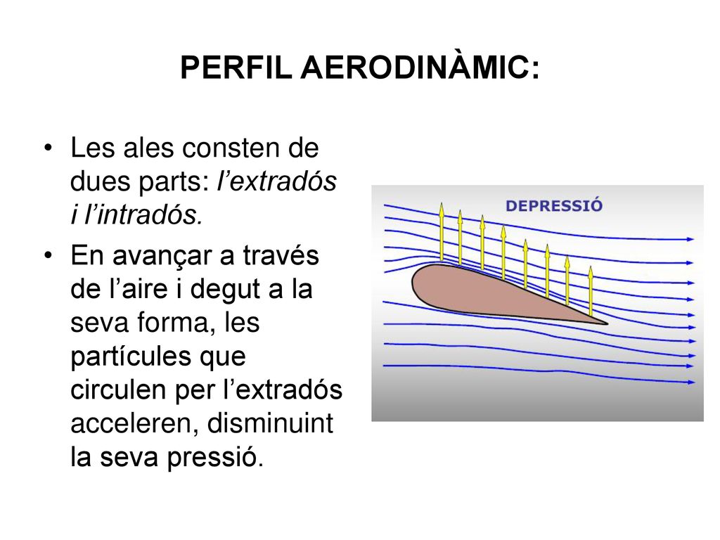 PERFIL AERODINÀMIC: Les ales consten de dues parts: l’extradós i l’intradós.
