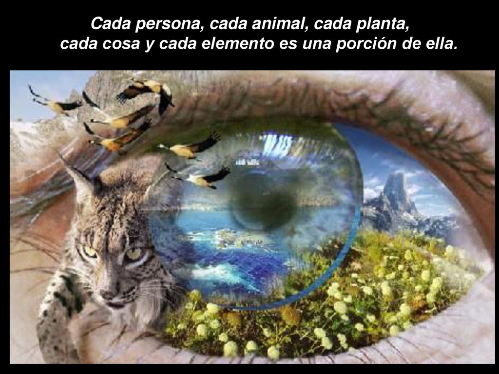 Cada persona, cada animal, cada planta, cada cosa y cada elemento es una porción de ella.