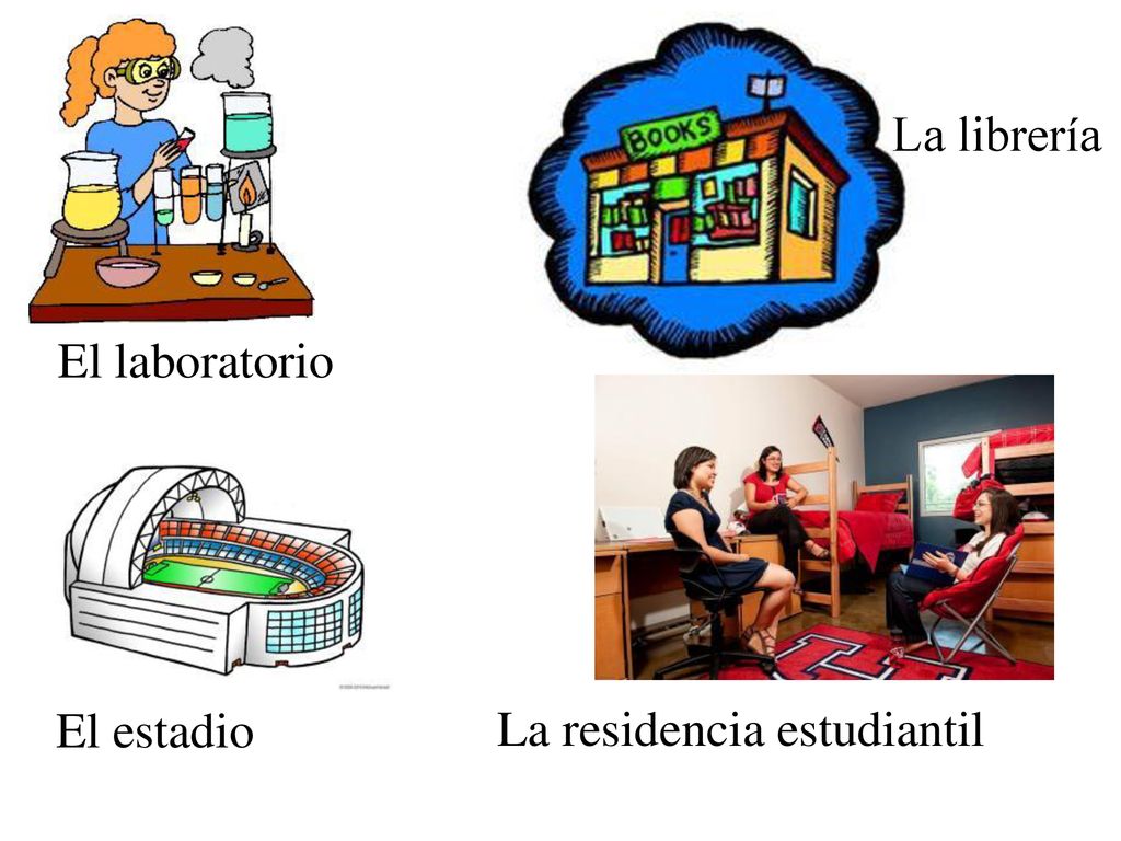 La librería El laboratorio El estadio La residencia estudiantil
