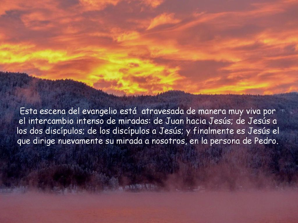 Esta escena del evangelio está atravesada de manera muy viva por el intercambio intenso de miradas: de Juan hacia Jesús; de Jesús a los dos discípulos; de los discípulos a Jesús; y finalmente es Jesús el que dirige nuevamente su mirada a nosotros, en la persona de Pedro.