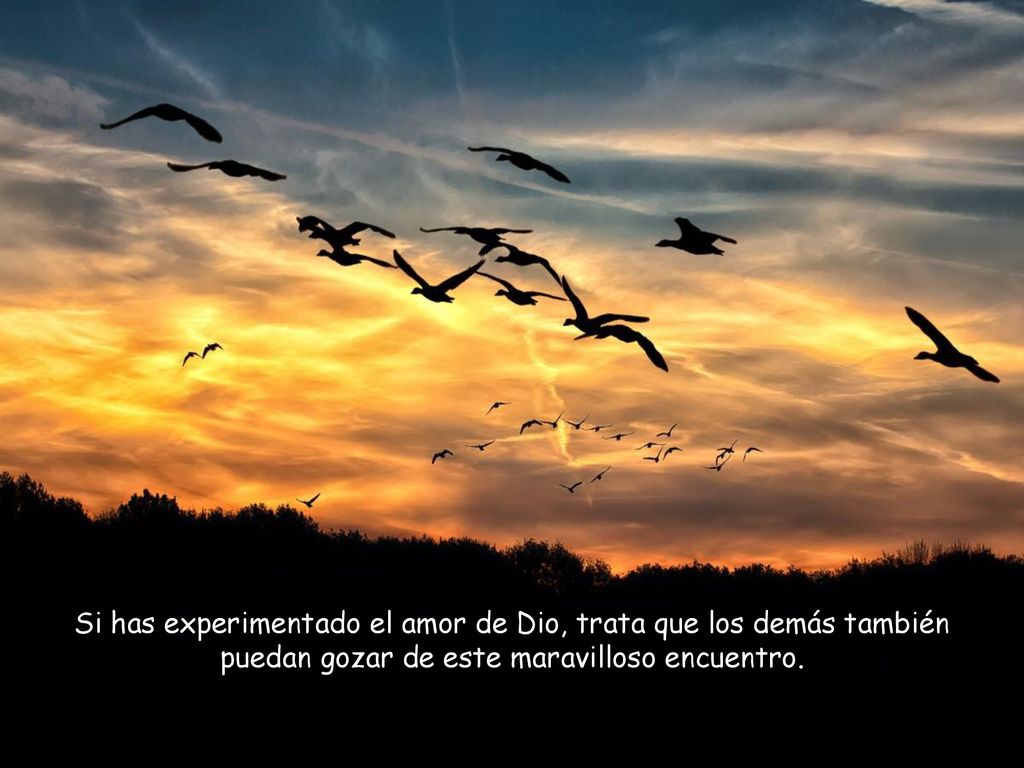 Si has experimentado el amor de Dio, trata que los demás también puedan gozar de este maravilloso encuentro.