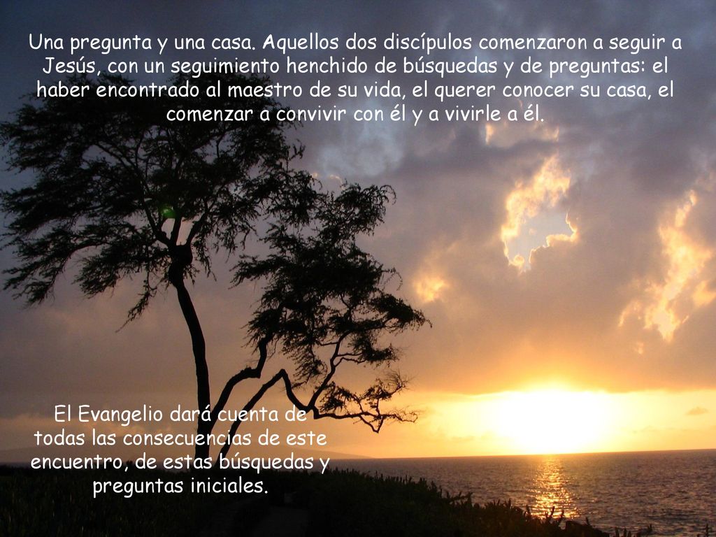Una pregunta y una casa. Aquellos dos discípulos comenzaron a seguir a Jesús, con un seguimiento henchido de búsquedas y de preguntas: el haber encontrado al maestro de su vida, el querer conocer su casa, el comenzar a convivir con él y a vivirle a él.