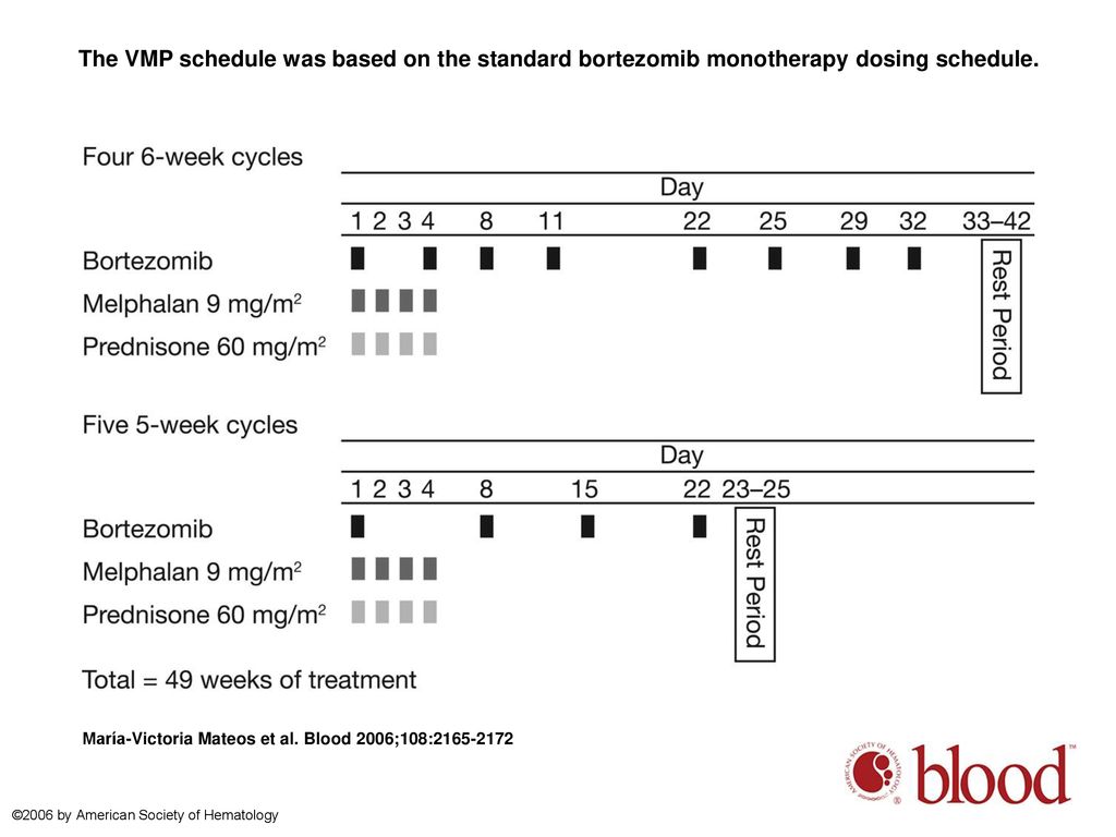 The VMP schedule was based on the standard bortezomib monotherapy dosing schedule.