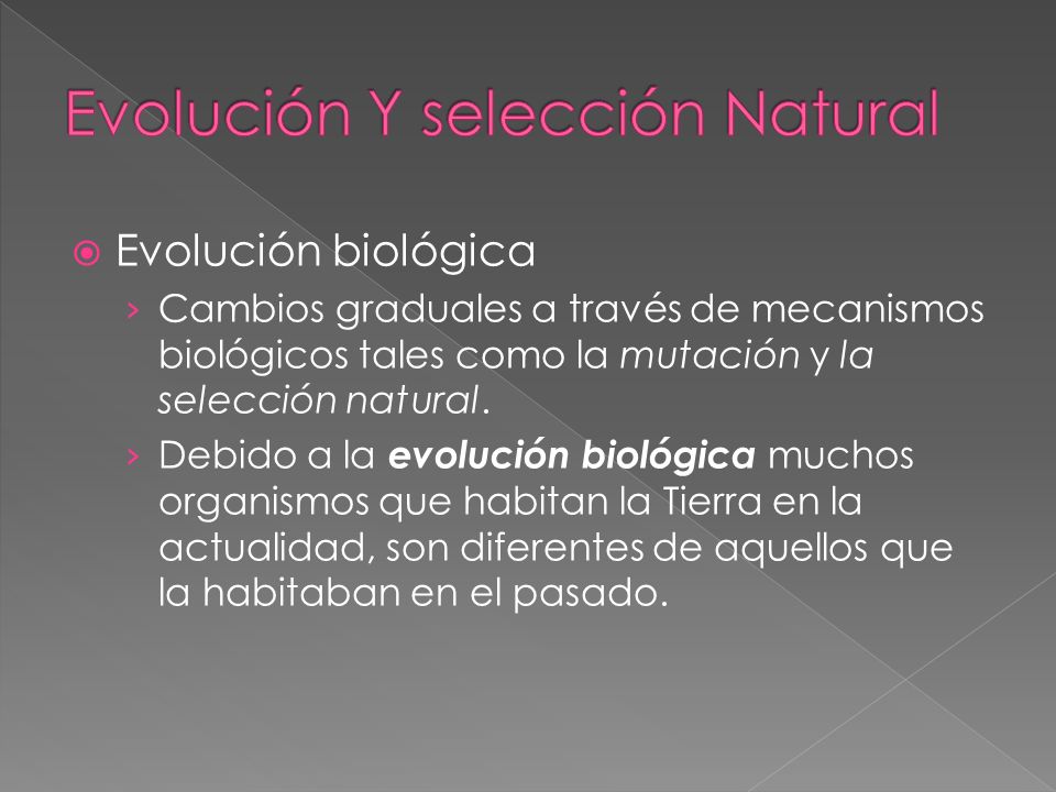 Evolución Y selección Natural