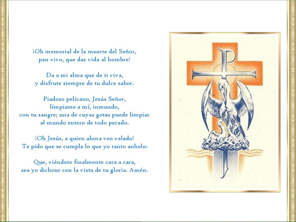 ¡Oh memorial de la muerte del Señor, pan vivo, que das vida al hombre!