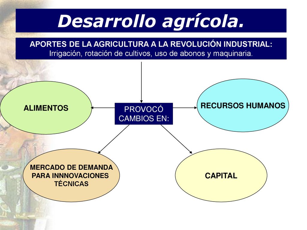 Desarrollo agrícola. APORTES DE LA AGRICULTURA A LA REVOLUCIÓN INDUSTRIAL: Irrigación, rotación de cultivos, uso de abonos y maquinaria.