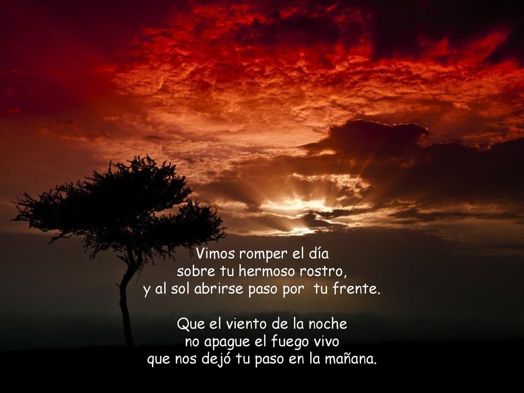 sobre tu hermoso rostro, y al sol abrirse paso por tu frente.