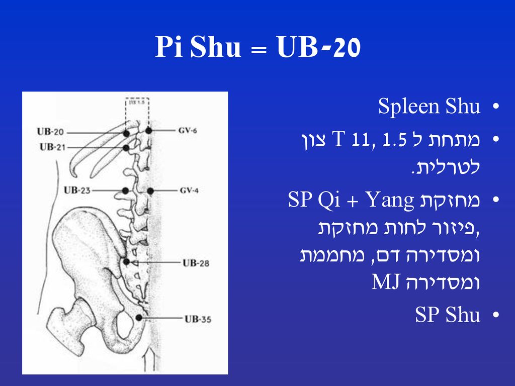 UB-20 = Pi Shu Spleen Shu מתחת ל T 11, 1.5 צון לטרלית.