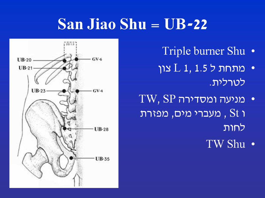 UB-22 = San Jiao Shu Triple burner Shu מתחת ל L 1, 1.5 צון לטרלית.