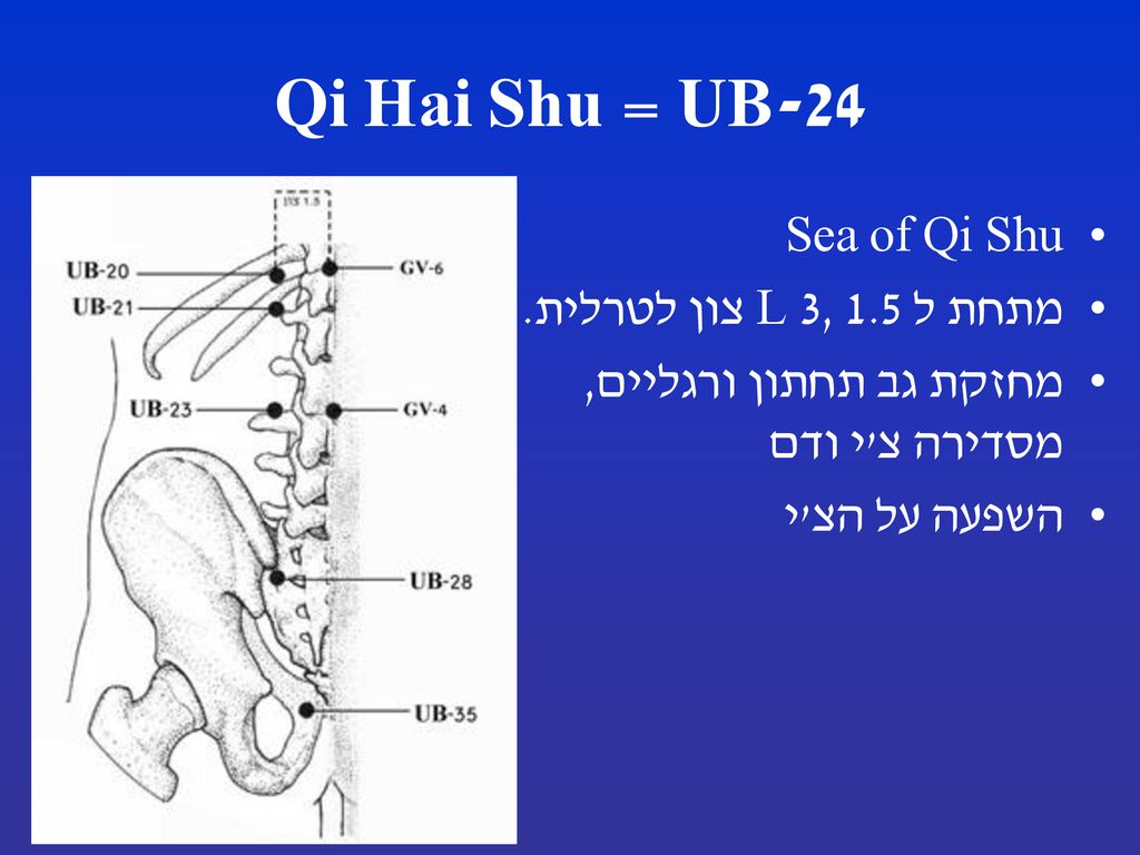 UB-24 = Qi Hai Shu Sea of Qi Shu מתחת ל L 3, 1.5 צון לטרלית.