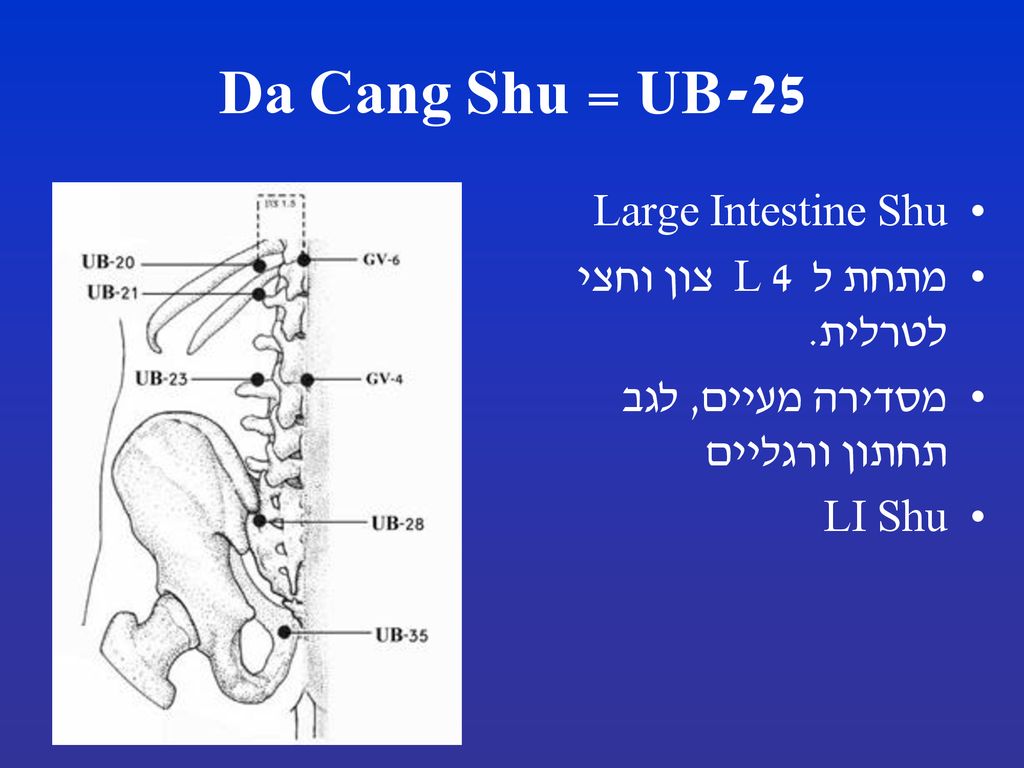 UB-25 = Da Cang Shu Large Intestine Shu מתחת ל L 4 צון וחצי לטרלית.