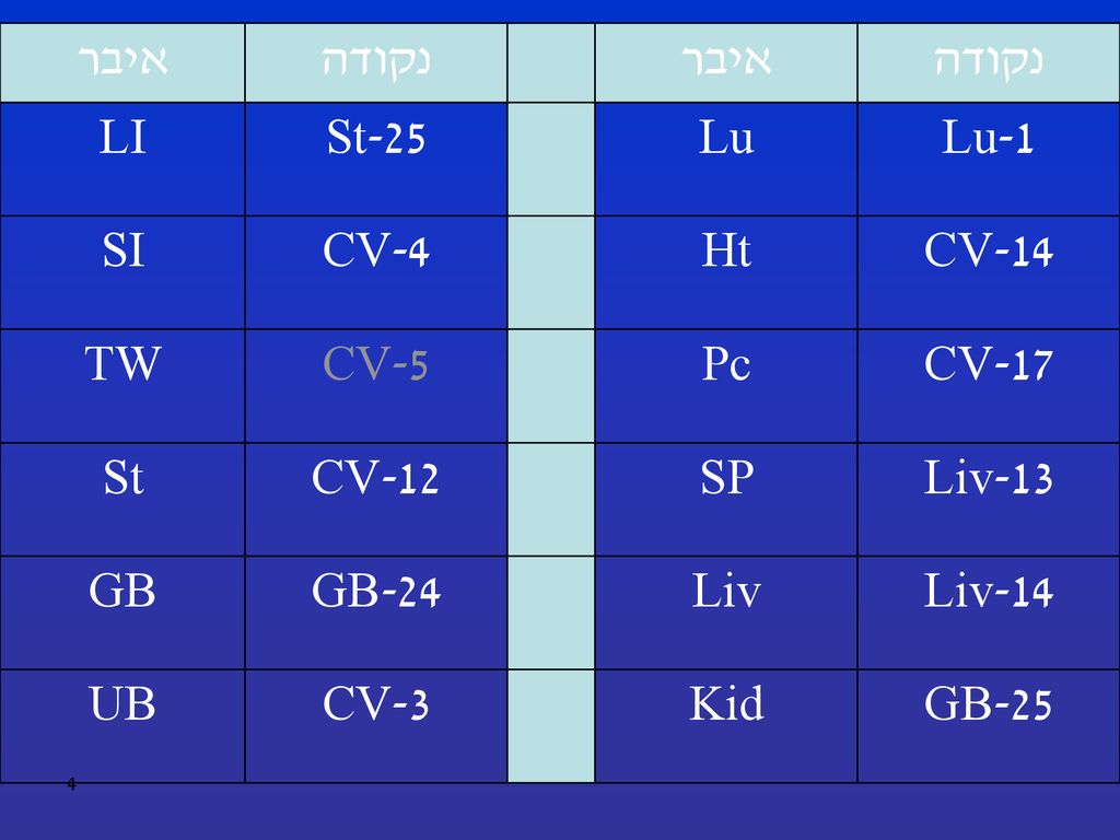 נקודה איבר. Lu-1. Lu. St-25. LI. CV-14. Ht. CV-4. SI. CV-17. Pc. CV-5. TW. Liv-13. SP.